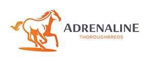 Adrenaline Thoroughbreds (AR: 456 200)