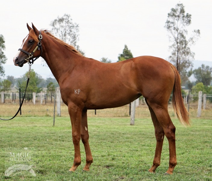 Deep Field (ex Freedom Belle)