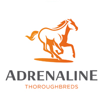 Adrenaline Thoroughbreds